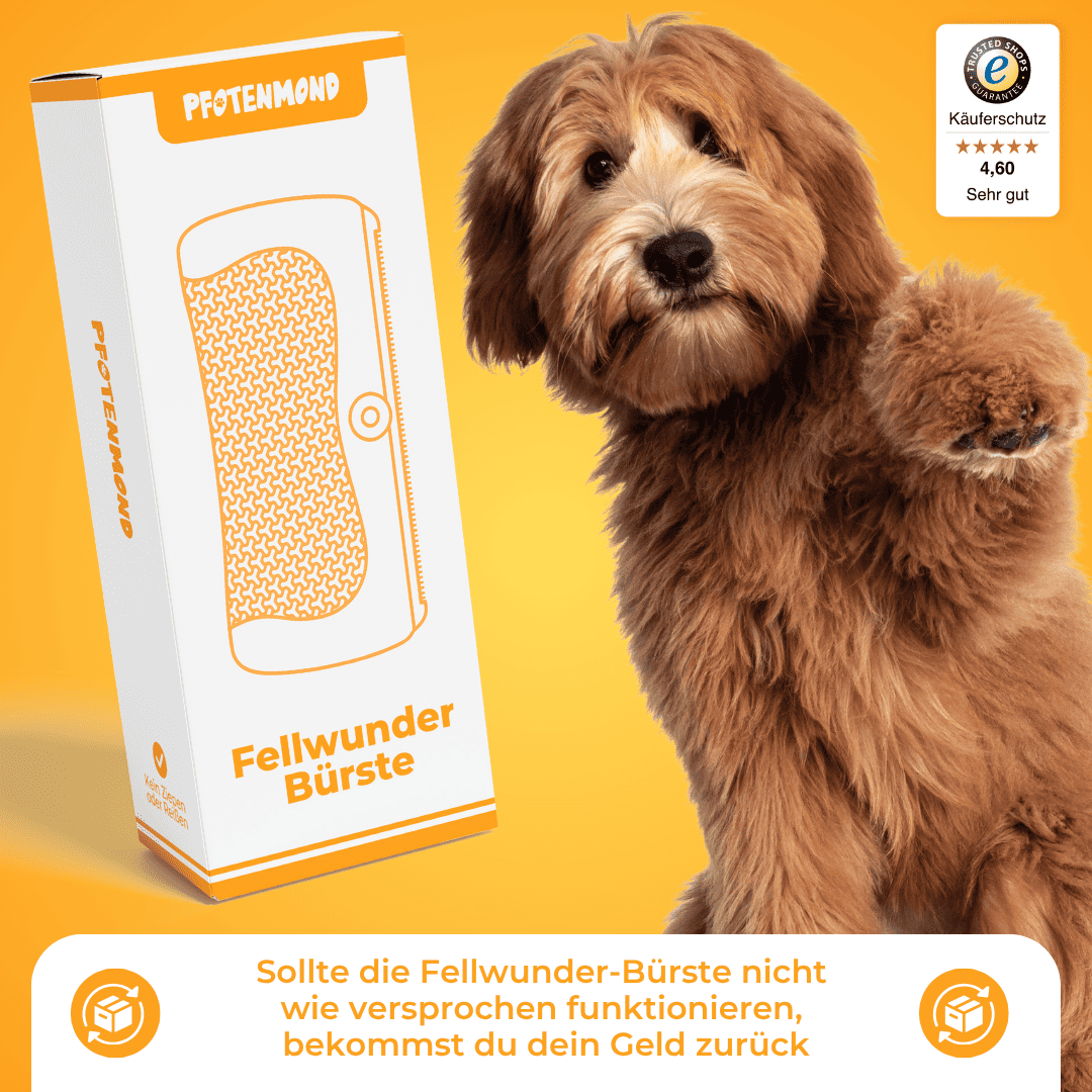 Fellora Pro™ – Bestseller-Bürste für einfache Fellpflege zuhause