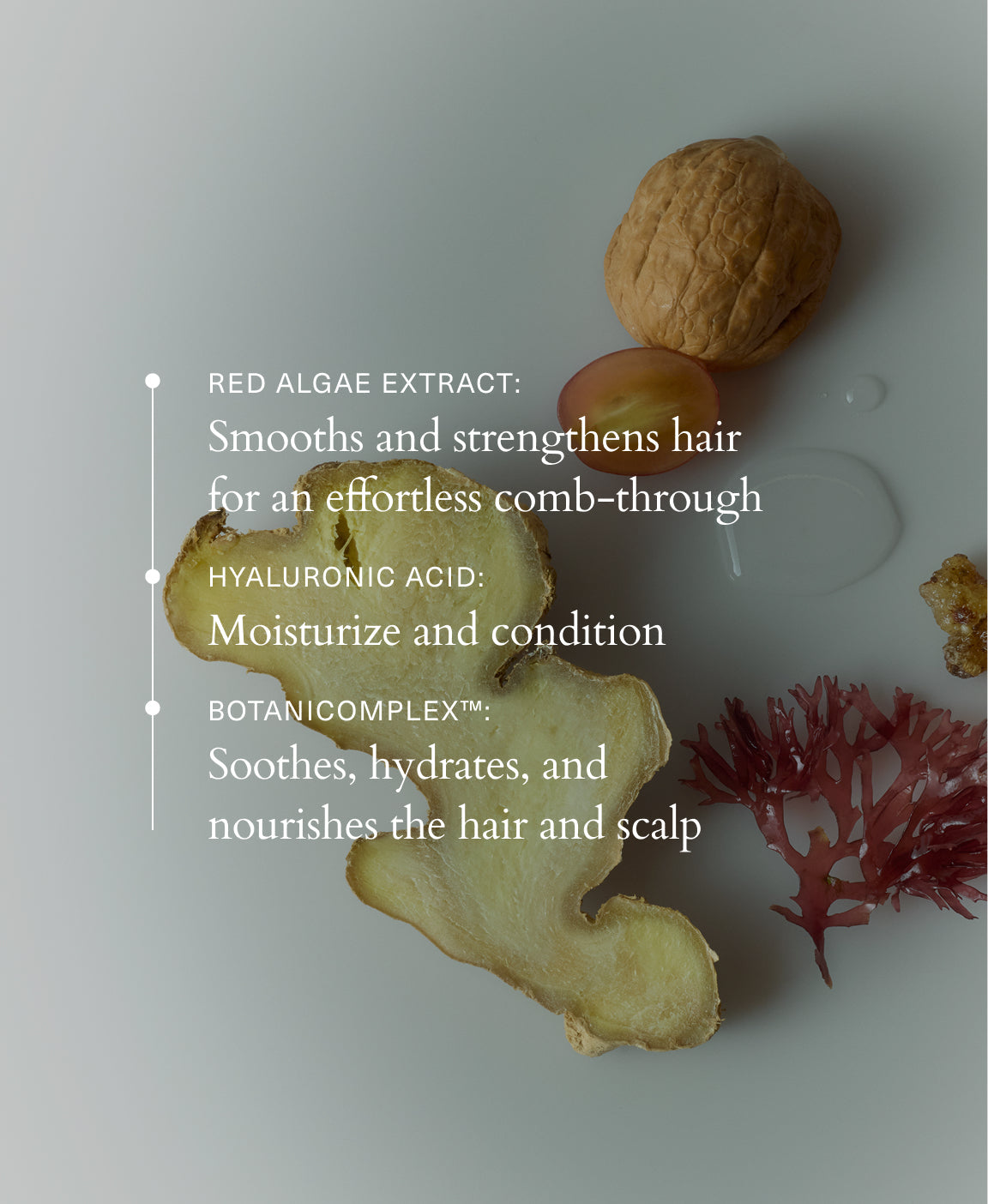 Frizzora™ – Leave-In Serum für geschmeidiges, frizzfreies Haar
