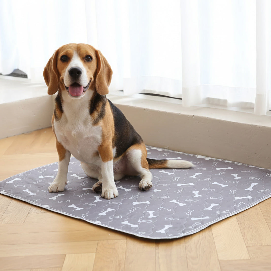 PawDry™ Pad | Sauberkeit ohne Training
