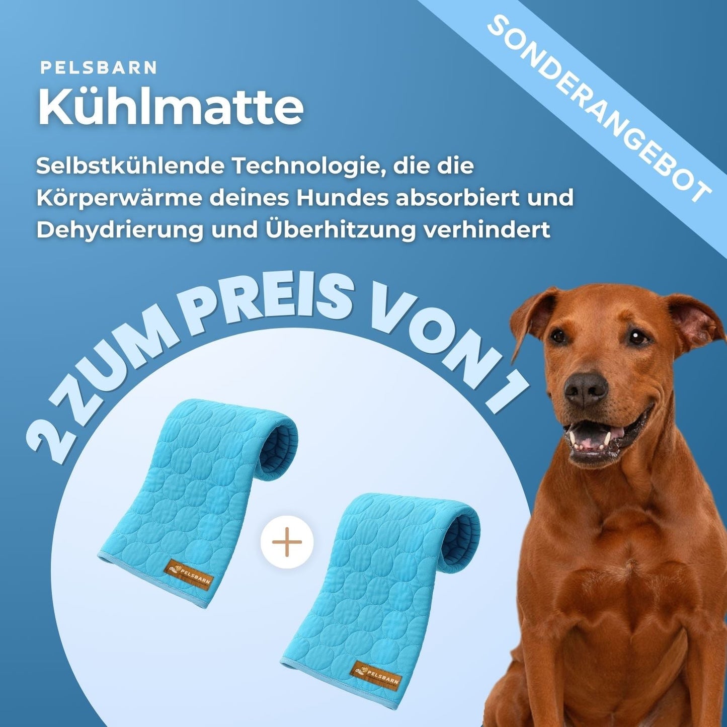 ArcticPaw™ – Leistungsstarke Kühlmatte für Hunde & Katzen
