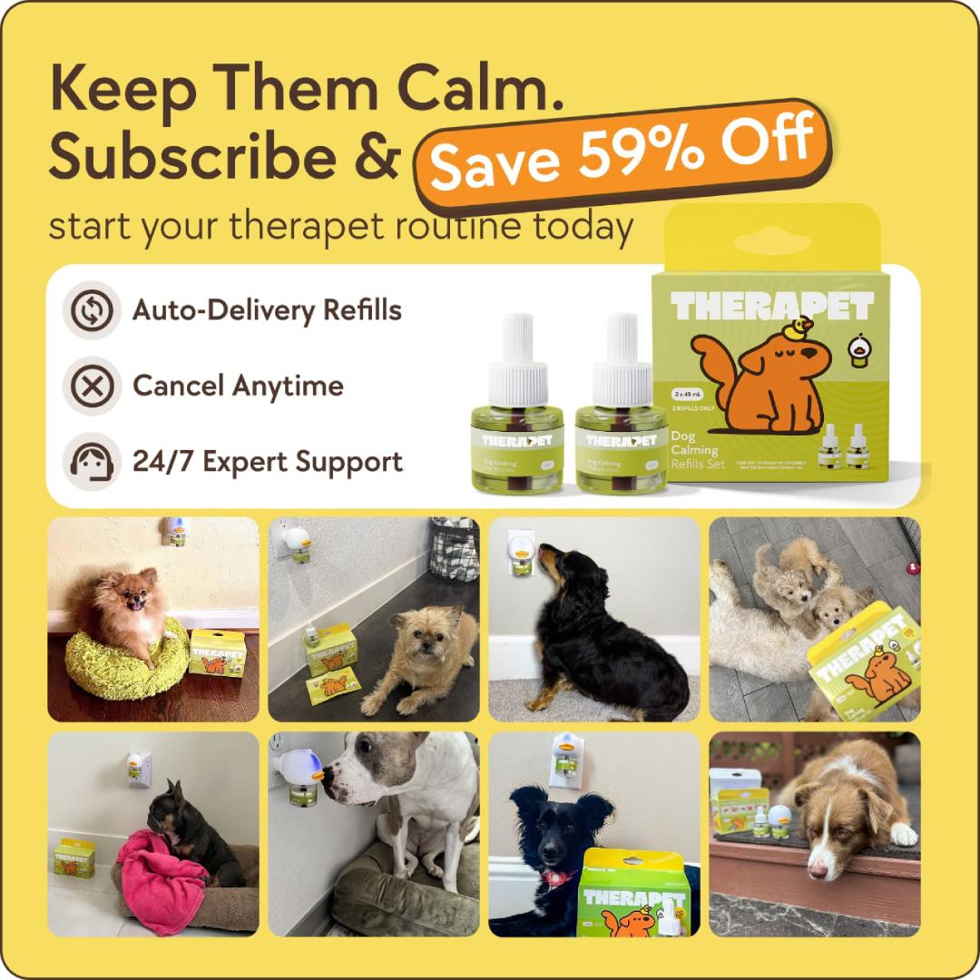 Beruhigungs-Diffusor-Set für Hunde