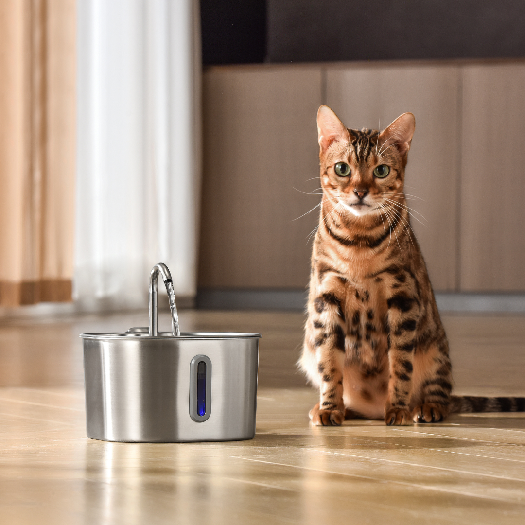 KittySpout™ | 2,2-Liter-Trinkbrunnen-Set für 2 Monate