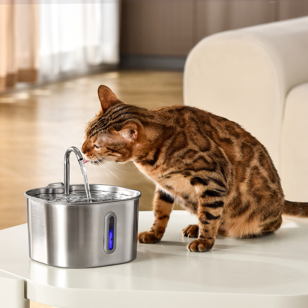 KittySpout™ | 2,2-Liter-Trinkbrunnen-Set für 2 Monate