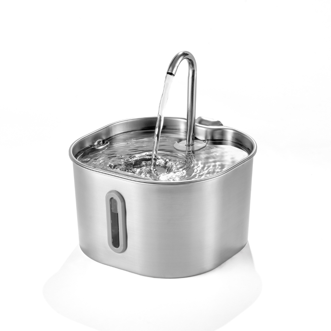 KittySpout™ | 2,2-Liter-Trinkbrunnen-Set für 2 Monate