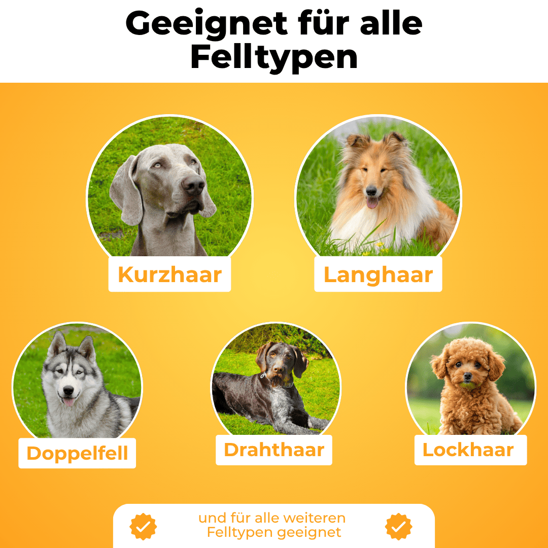 Die Fellwunder-Bürste entfernt mühelos und zuverlässig loses Fell.