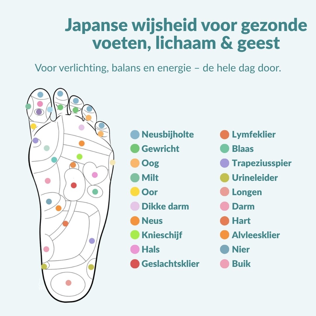 Relivora™ | Magnetische Einlegesohlen für mehr Bewegung & Leichtigkeit