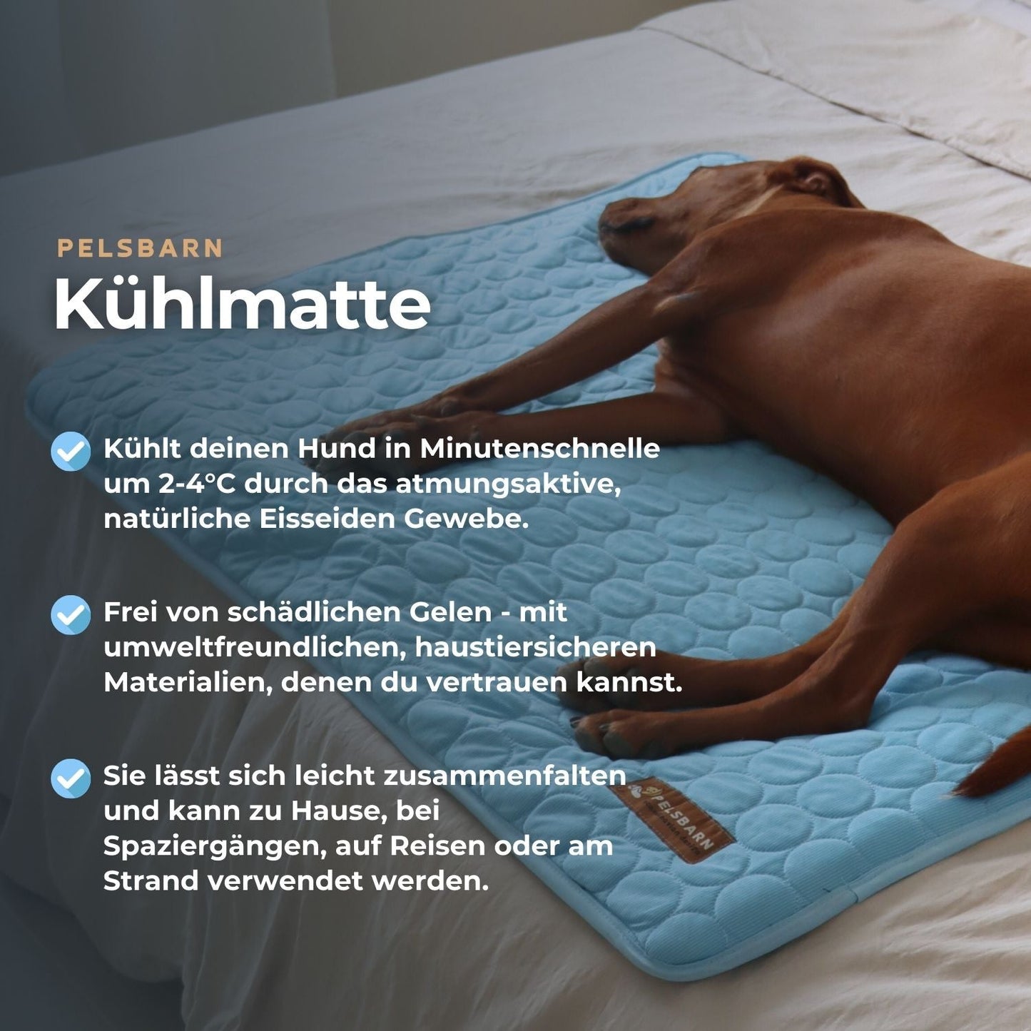 ArcticPaw™ – Leistungsstarke Kühlmatte für Hunde & Katzen