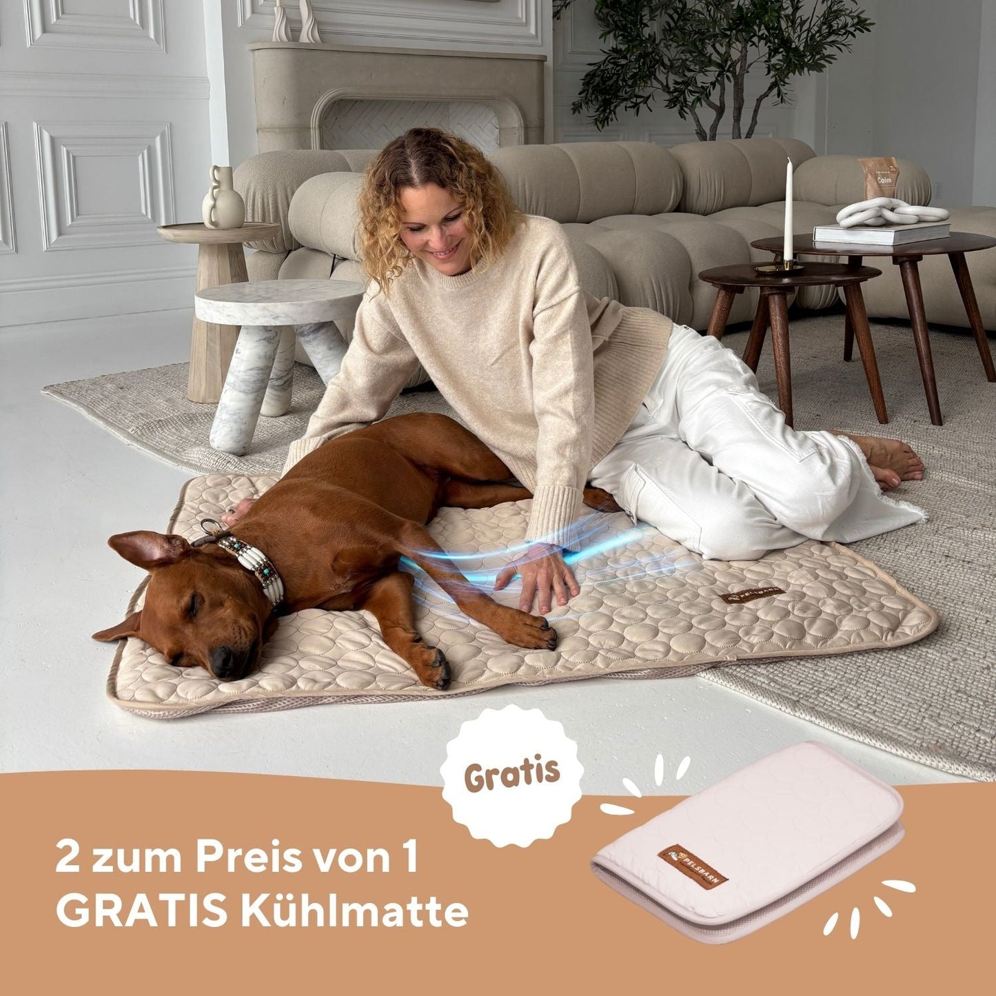 ArcticPaw™ – Leistungsstarke Kühlmatte für Hunde & Katzen