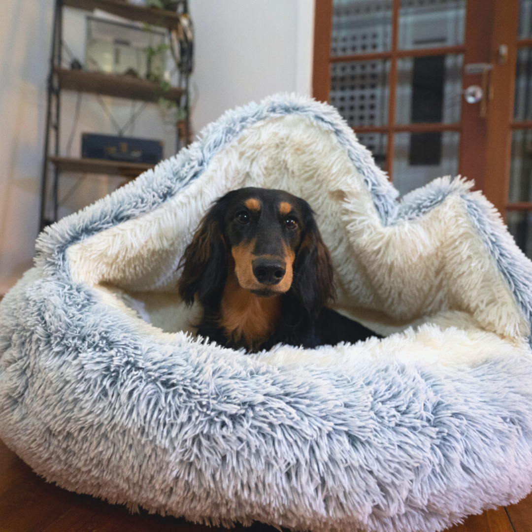 CozyPet Höhle