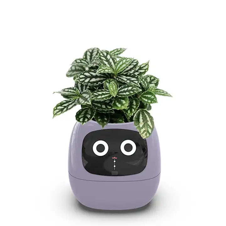 PlantBuddy™ |Smarter Pflanztopf