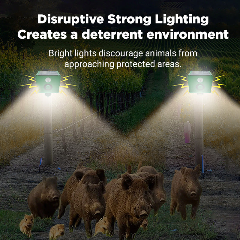 SafeGuard™ | Solar-Tierabwehrlampe