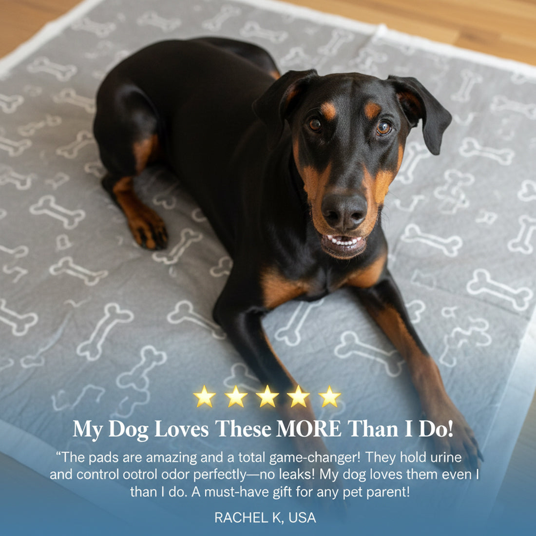 PawDry™ Pad | Sauberkeit ohne Training