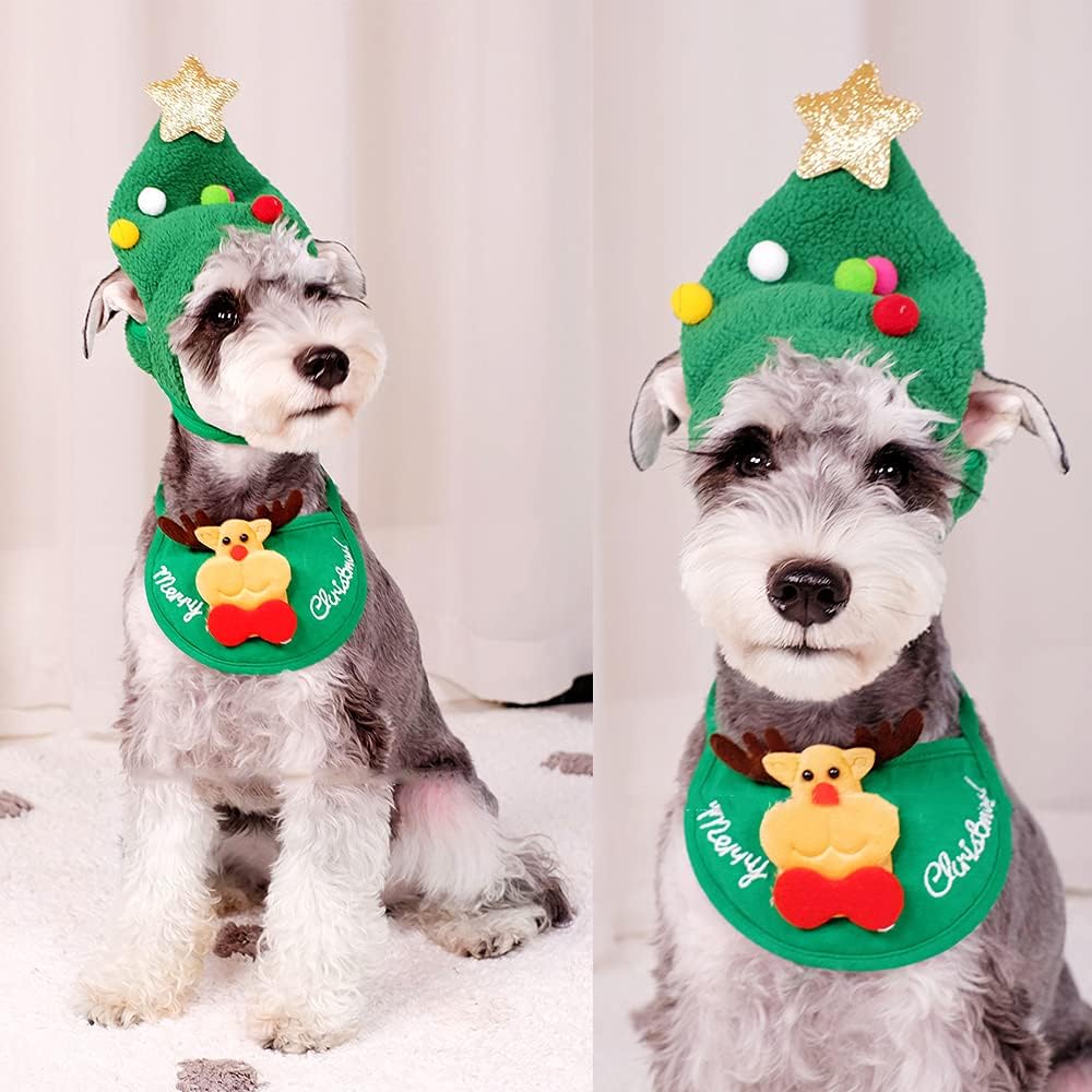 PawJoy™ | Weihnachtliches Kostüm-Set für Hunde & Katzen
