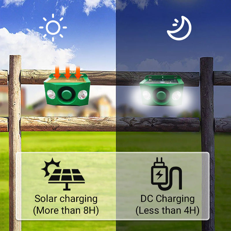 SafeGuard™ | Solar-Tierabwehrlampe