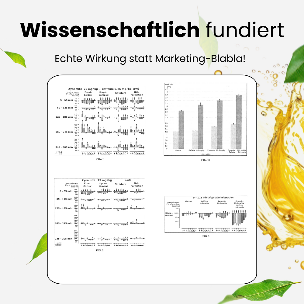 Vitaluxe™ – Premium Shot für Energie und tägliche Leistung