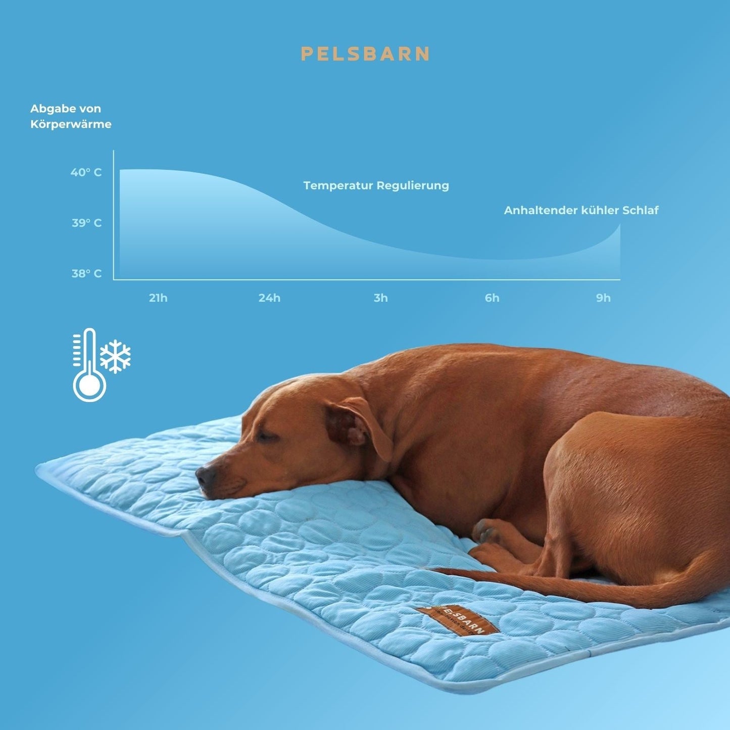 ArcticPaw™ – Leistungsstarke Kühlmatte für Hunde & Katzen