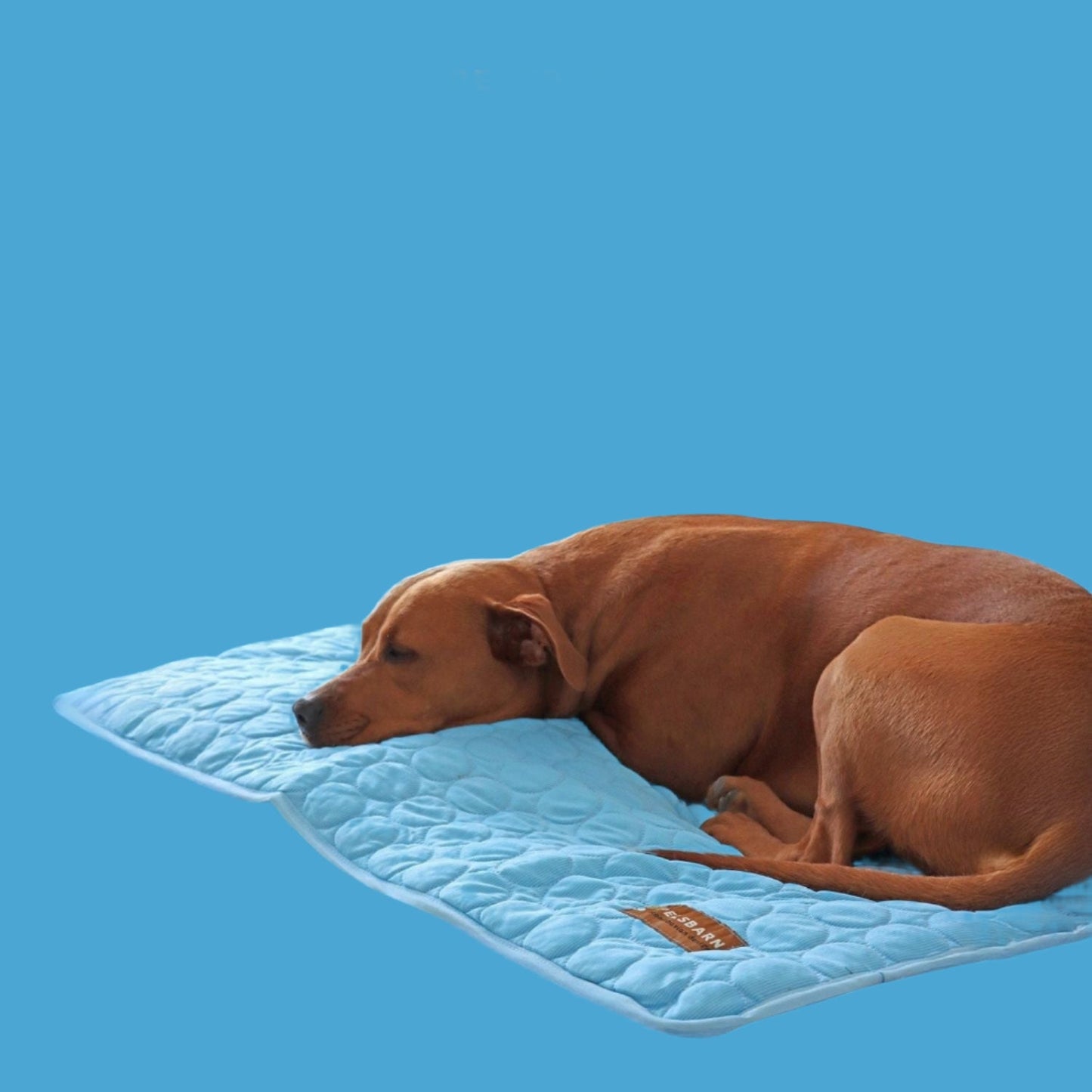 ArcticPaw™ – Leistungsstarke Kühlmatte für Hunde & Katzen