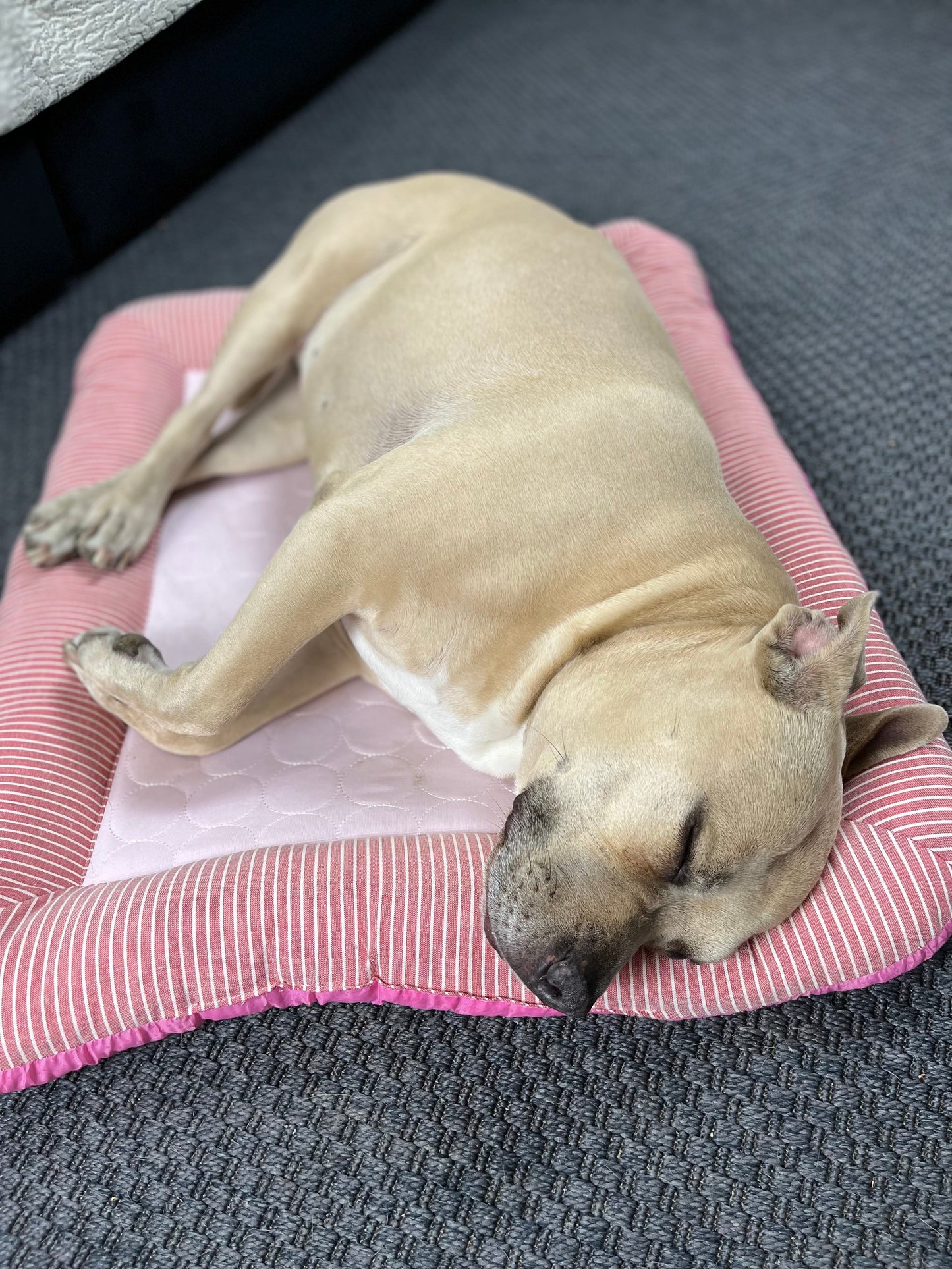 Innovative Kühlbett