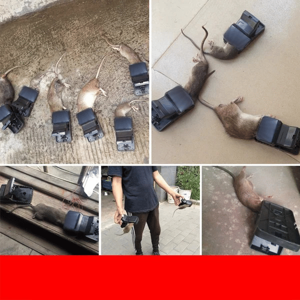 2+2 Gratis | SnapKill™ | Mäuse weg im Handumdrehen