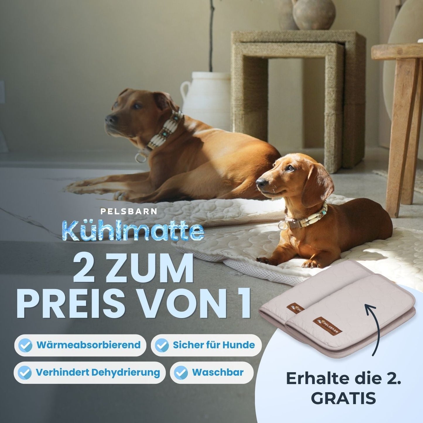 ArcticPaw™ – Leistungsstarke Kühlmatte für Hunde & Katzen