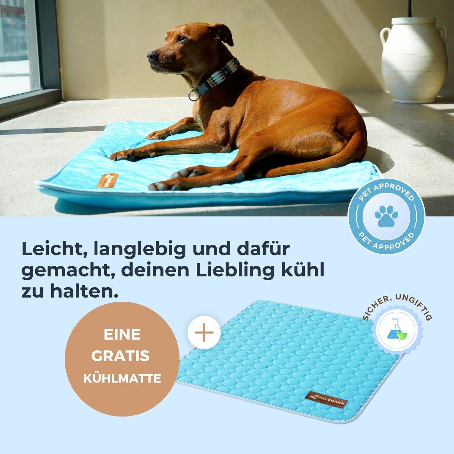 ArcticPaw™ – Leistungsstarke Kühlmatte für Hunde & Katzen
