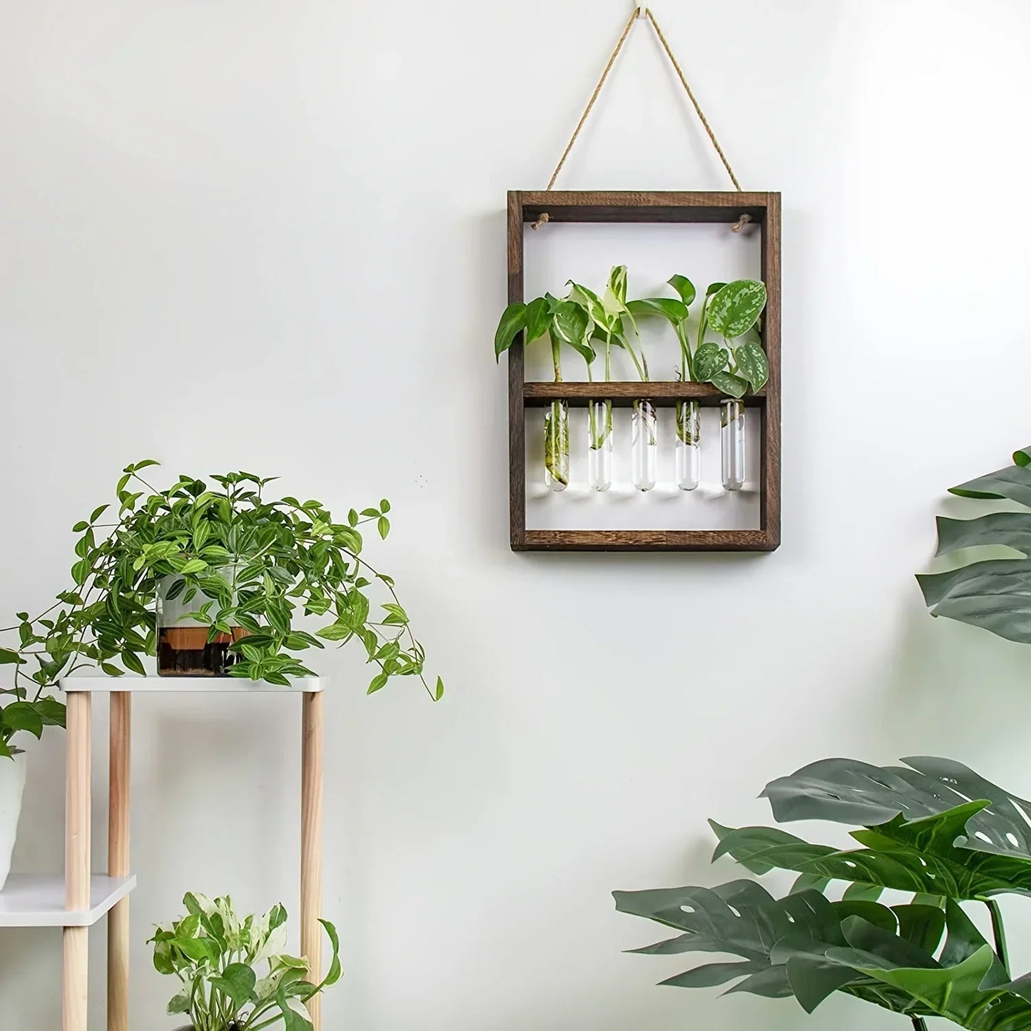 PropagaFrame™ | Elegantes Vermehrungsdesign