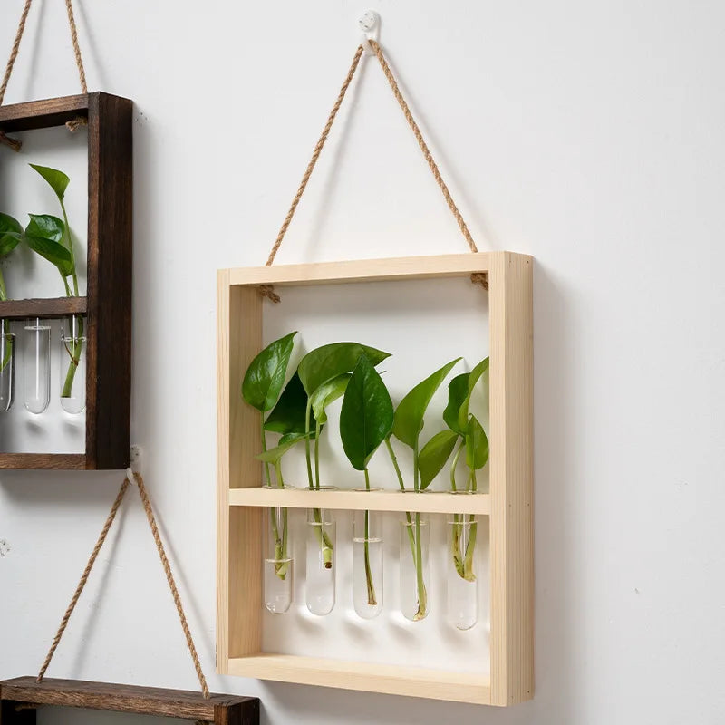 PropagaFrame™ | Elegantes Vermehrungsdesign