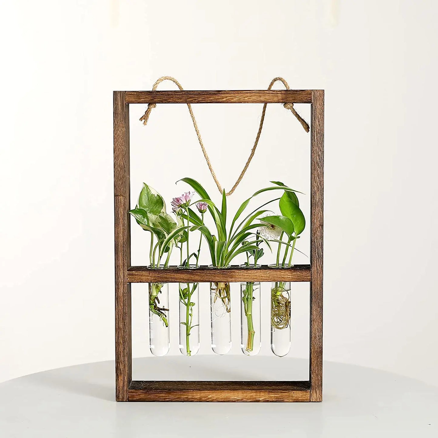 PropagaFrame™ | Elegantes Vermehrungsdesign