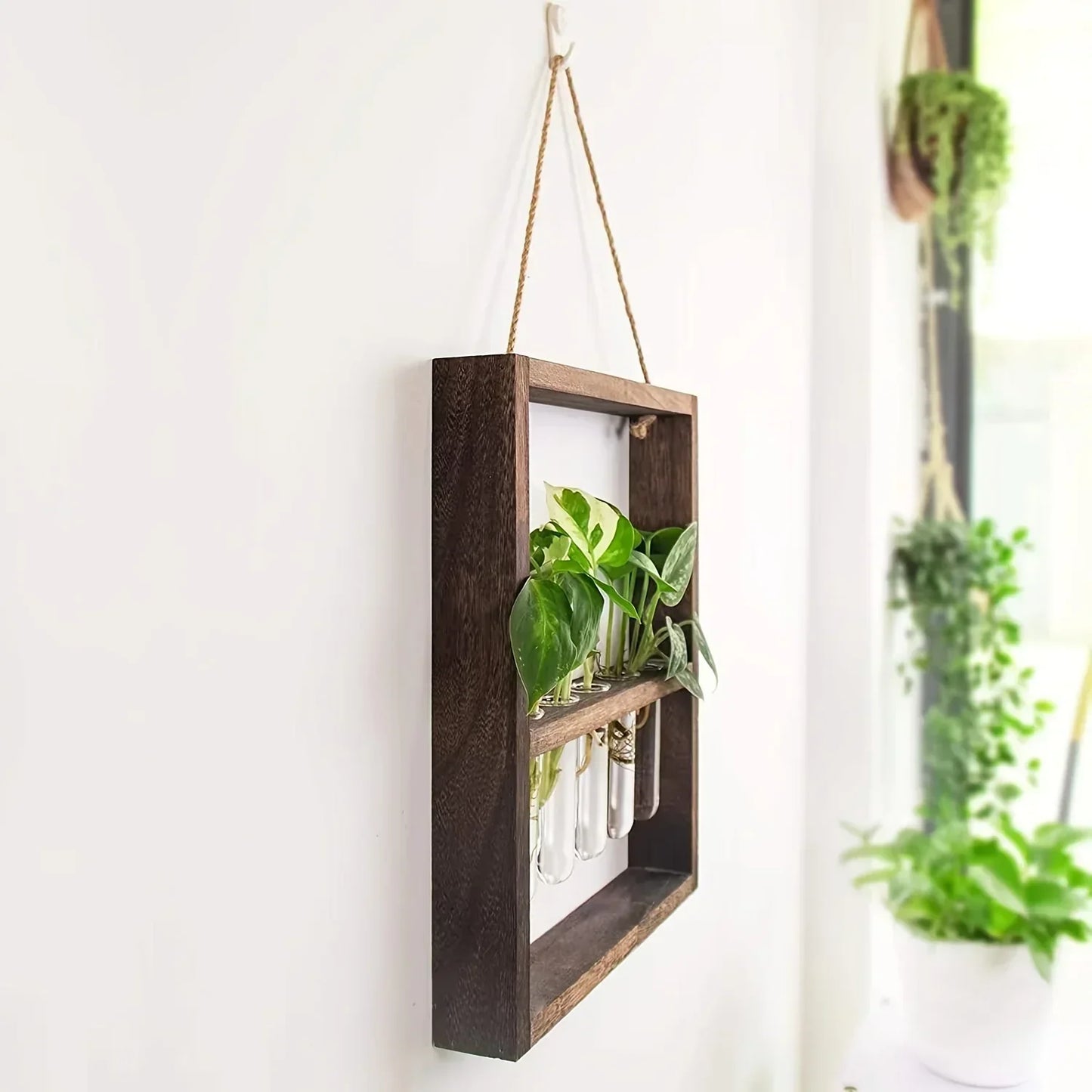 PropagaFrame™ | Elegantes Vermehrungsdesign