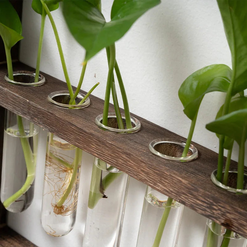 PropagaFrame™ | Elegantes Vermehrungsdesign