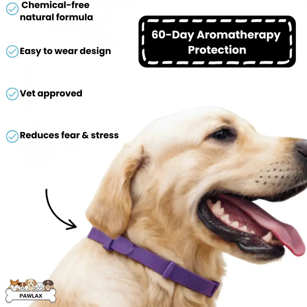 CalmPaw™ – Komfortables Hundehalsband für entspannte Spaziergänge