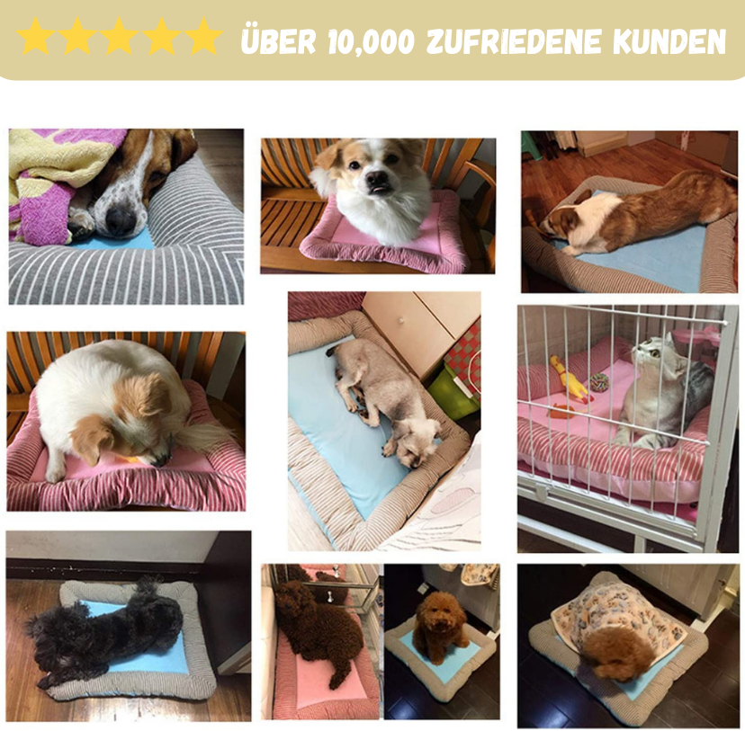 Innovative Kühlbett