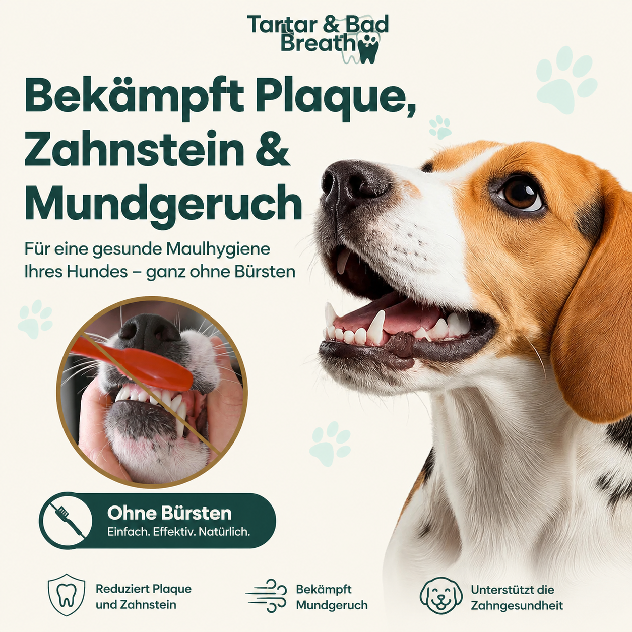 Timilk® TrustedPet Oral Care Spray | Einfache tägliche Zahnpflege
