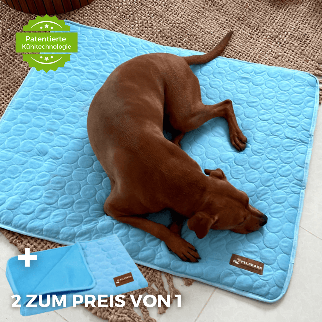 ArcticPaw™ – Leistungsstarke Kühlmatte für Hunde & Katzen
