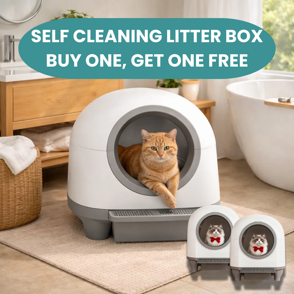 Selbstreinigende Katzentoilette