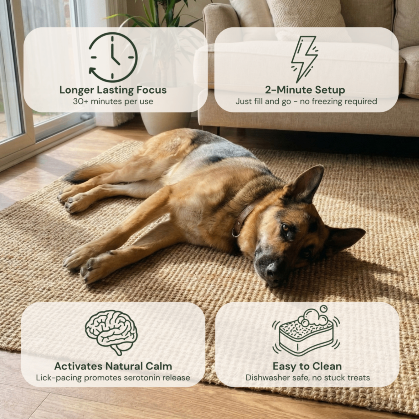 Beruhigender Napf mit Lick-Pacing Technology™
