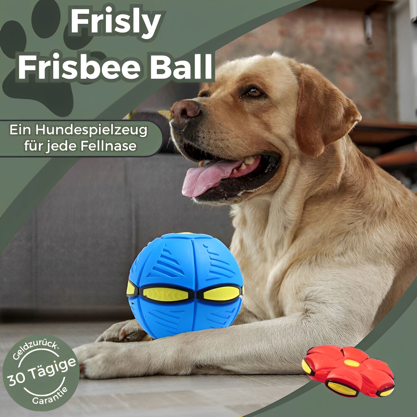Frisbee Ball