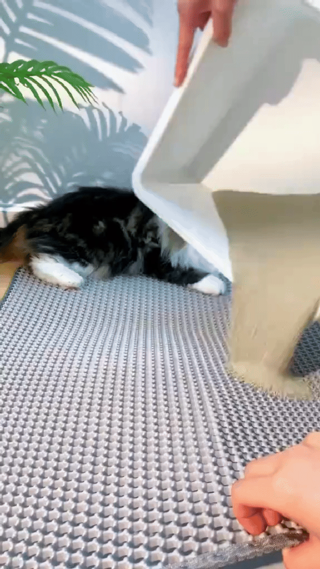 Katzenstreumatte - Grau