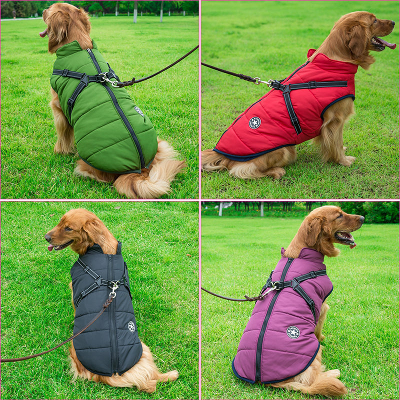 Hund 3-in-1 Jacke