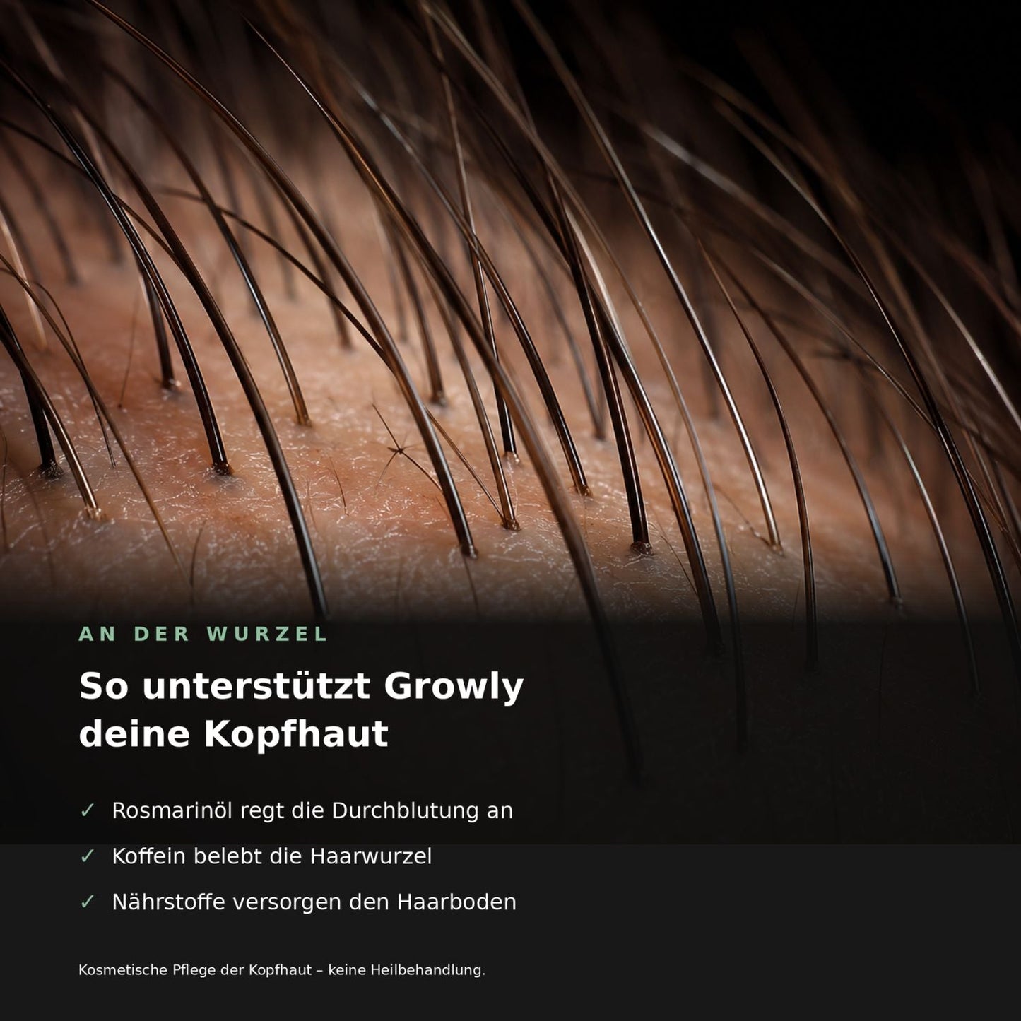 Hairviva™ – Aufbauende Haarkur für geschmeidiges, glänzendes Haar