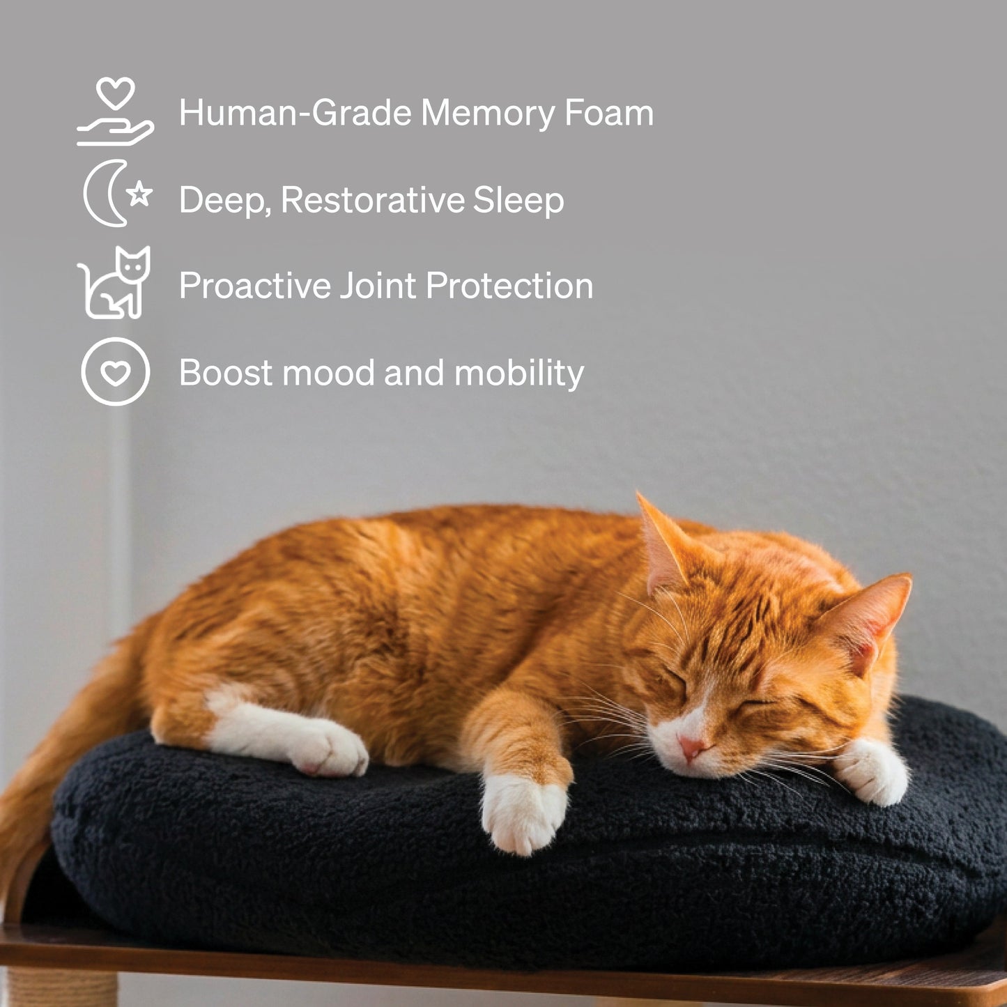 Knead Orthopädisches Bett