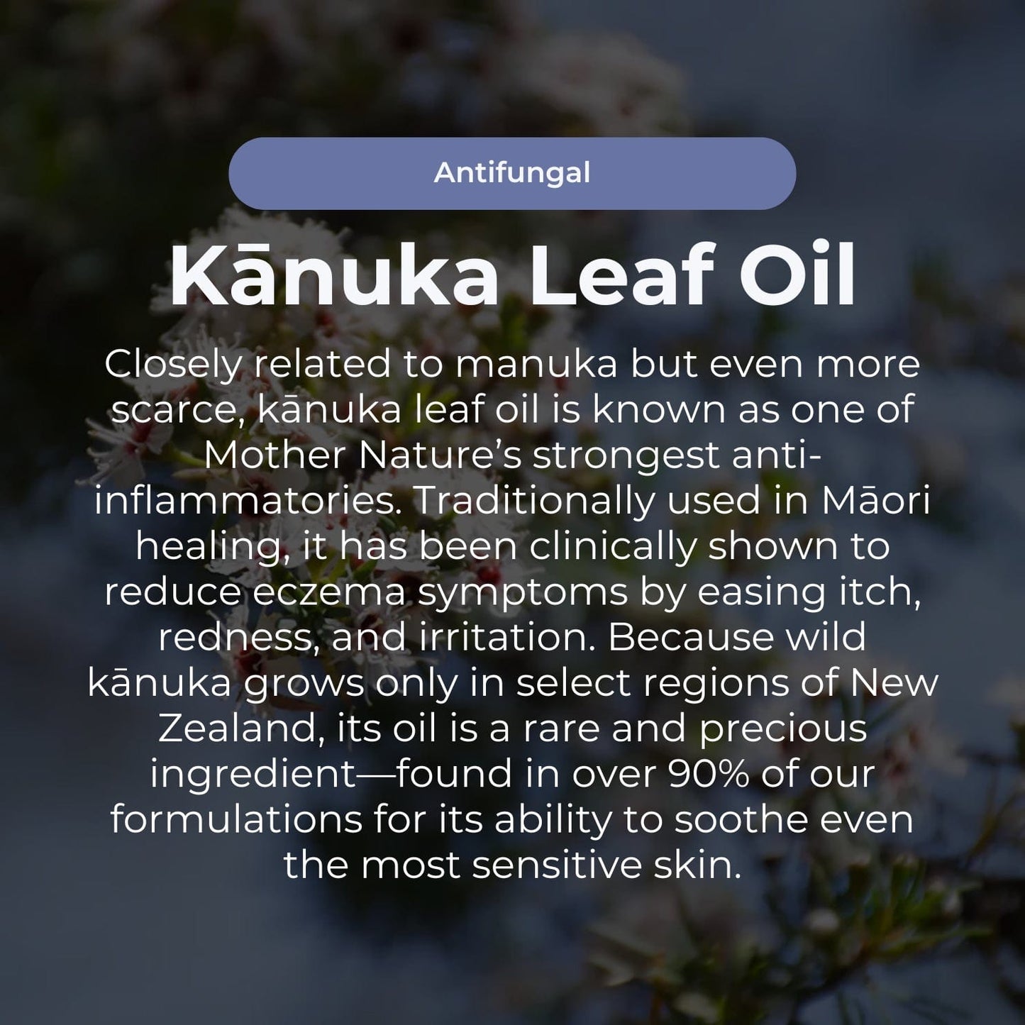Wunderbarer Manuka-Balsam zur Linderung von trockenen, juckenden Hautstellen – 100 g