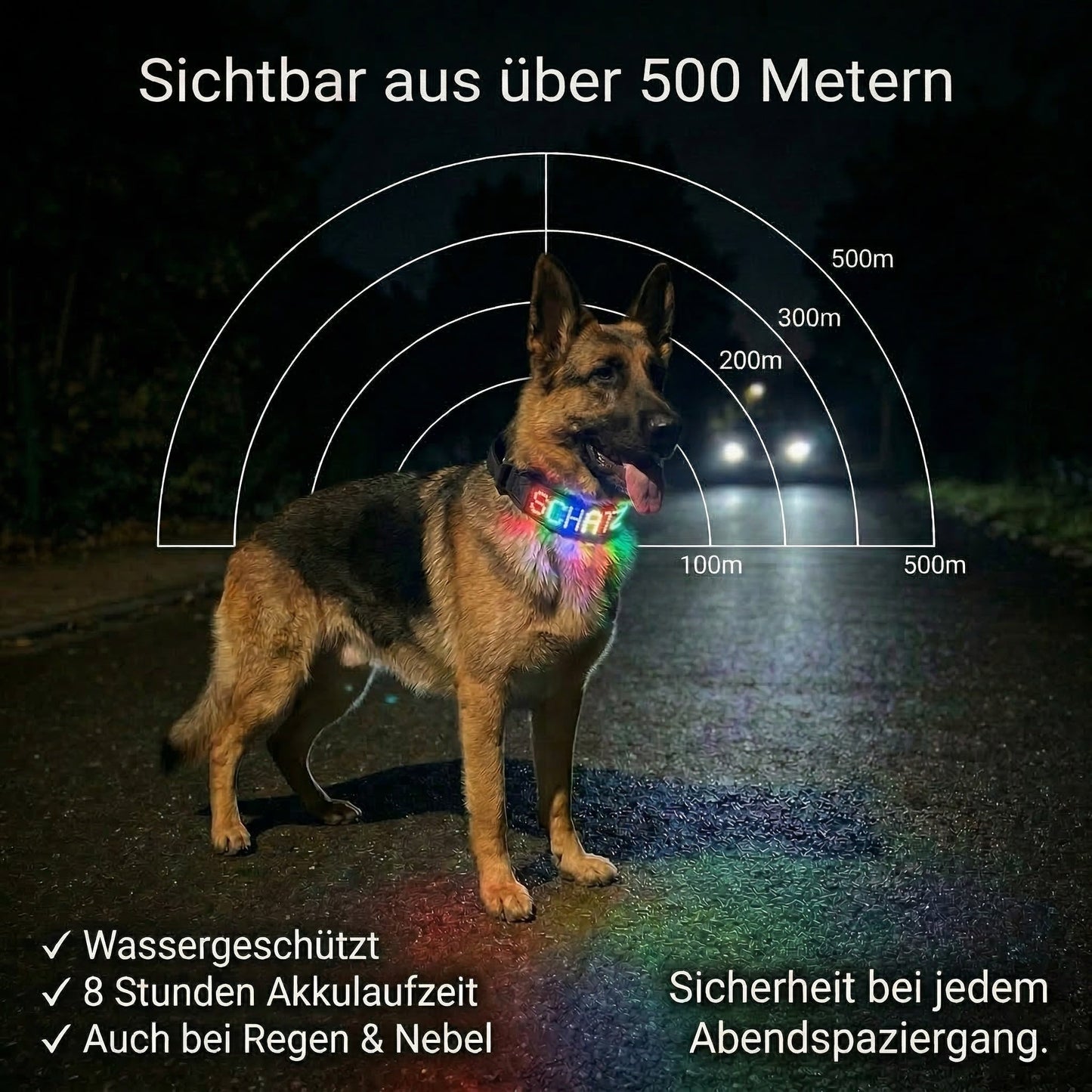 PetFlare LED-Halsband für Hunde – mit Namen & App-Steuerung