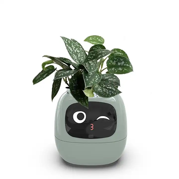 PlantBuddy™ |Smarter Pflanztopf