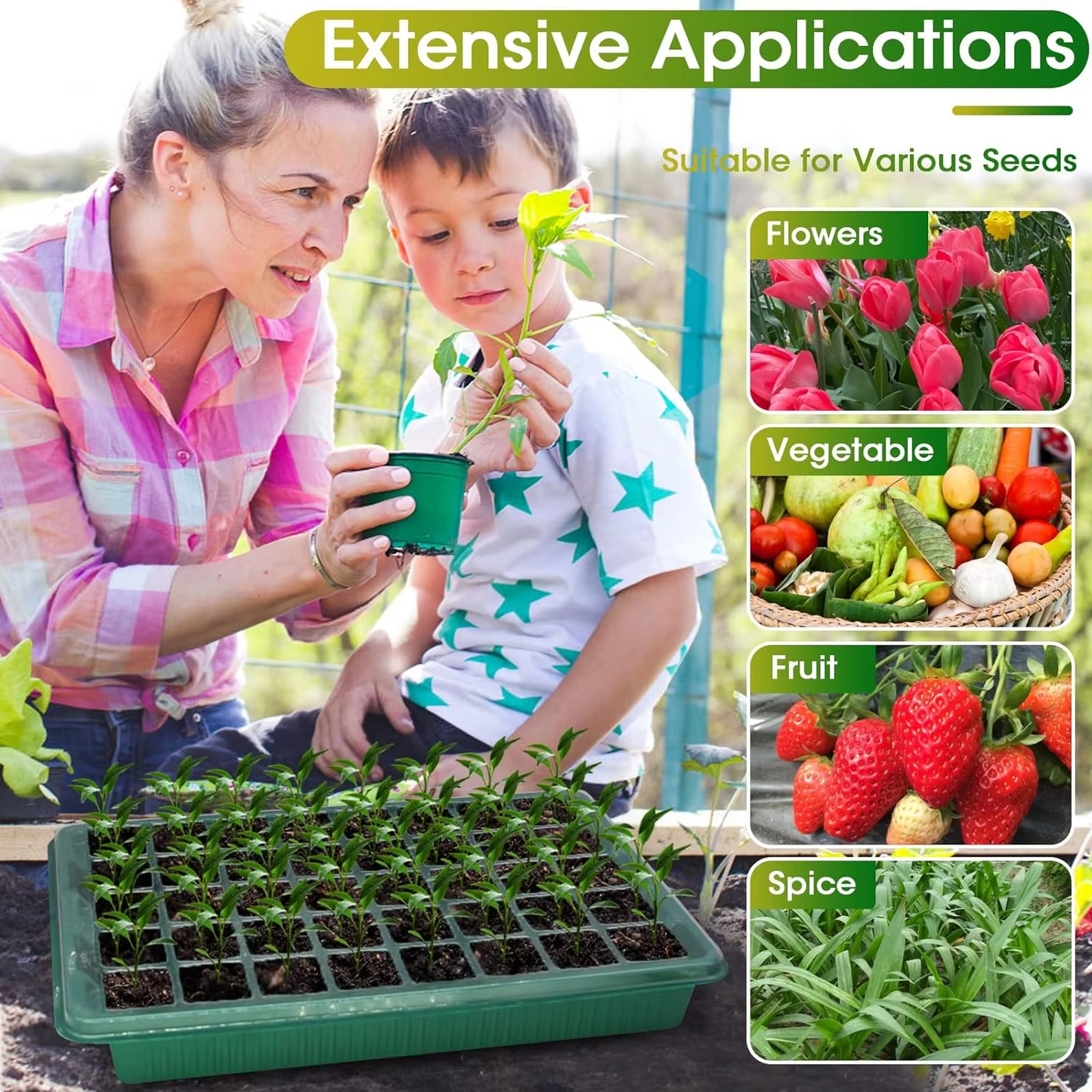 50% RABATT | SproutBox™ | Präzise Keimkontrolle für starke, gesunde Jungpflanzen