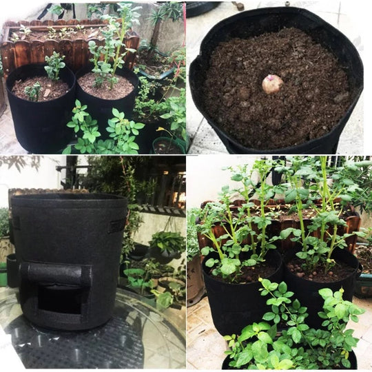 GrowBag™ | Pflanzsack mit Ernteklappe – Wiederverwendbarer Kweekzak