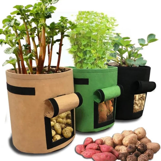 GrowBag™ | Pflanzsack mit Ernteklappe – Wiederverwendbarer Kweekzak