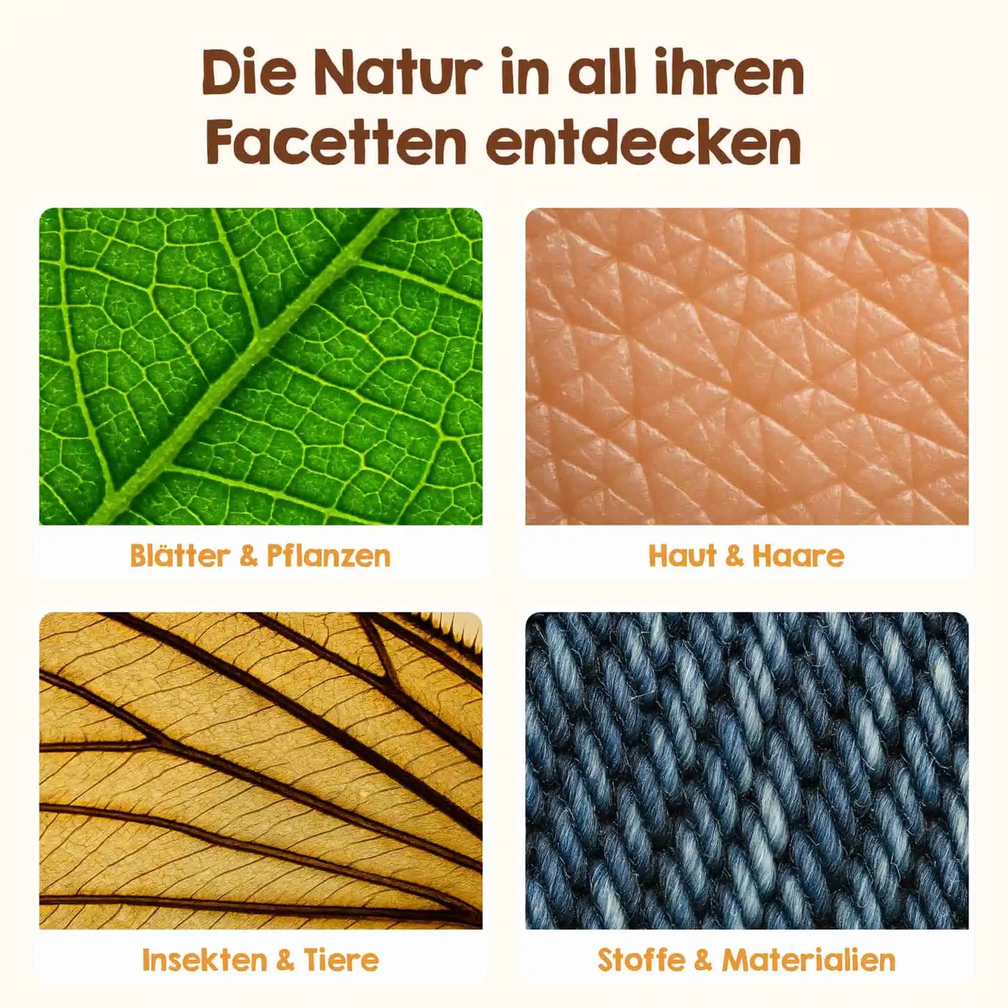 Edubini Abenteuer-Mikroskop® (Ostergeschenk-Starterset)