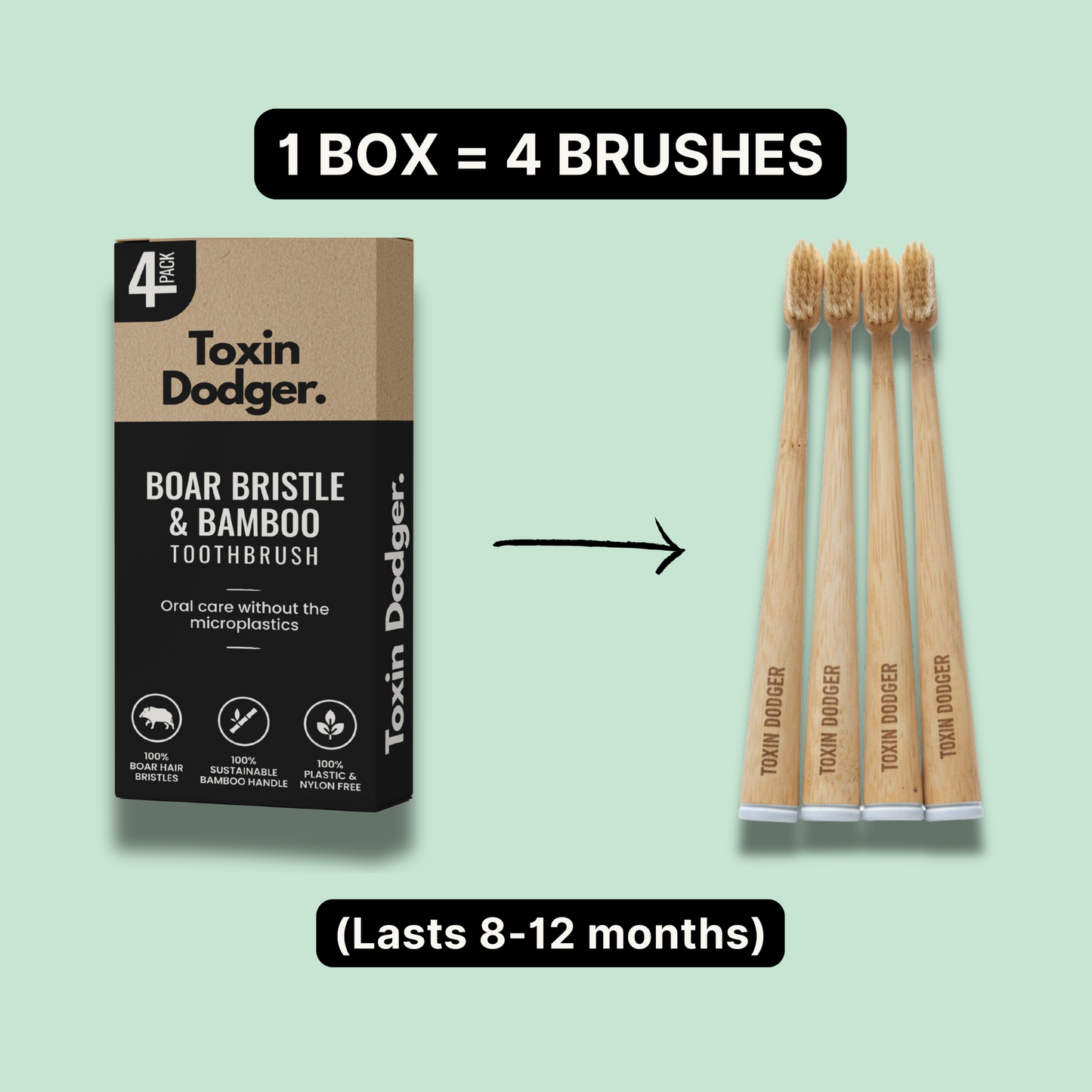 TOXIN DODGER | Zahnbürste mit Wildschwein- oder Pferdeborsten (4er-Pack)