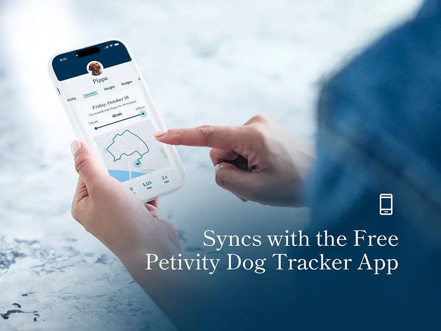 Petivity Smart GPS + Aktivitätstracker für Hunde